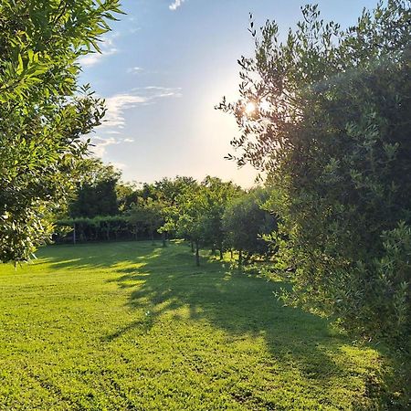 Apartman Doli Nedeščina Extérieur photo
